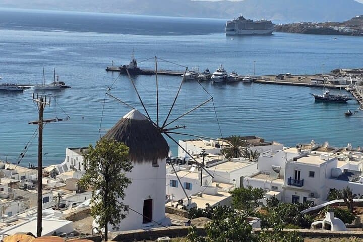Private Mykonos Tour: Skip the Lines and Experience Authentic Island Life photo 4