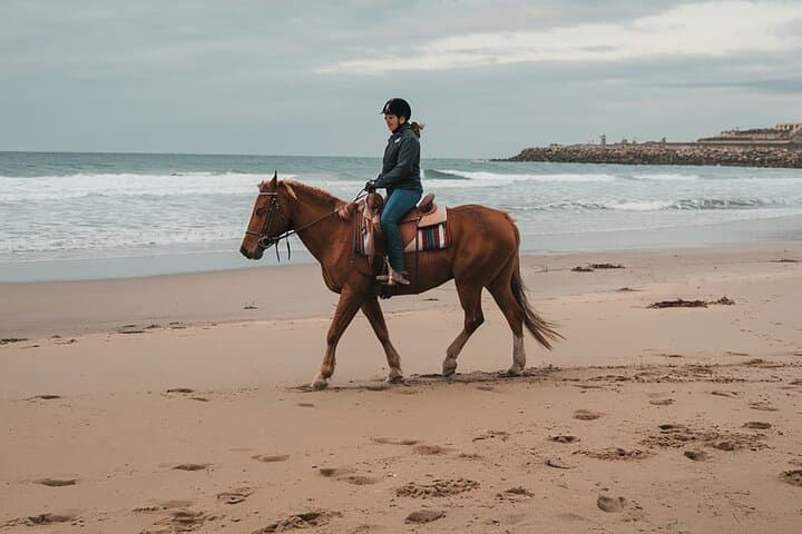 Essaouira Beach Horse Riding: 2-Hour Coastal Horseback Tour photo 2