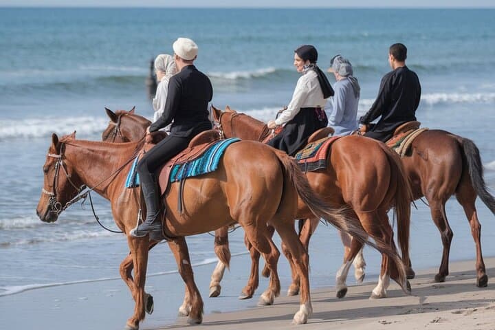 Essaouira Beach Horse Riding: 2-Hour Coastal Horseback Tour photo 1