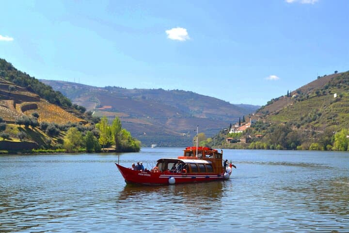 Douro Valley Day Tour: Two Vineyards, Rabelo River Cruise & Winery Lunch from Porto