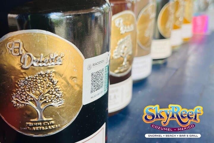 SkyReef Cozumel Snorkel and Tequila Tasting Beach Club Experience photo 3