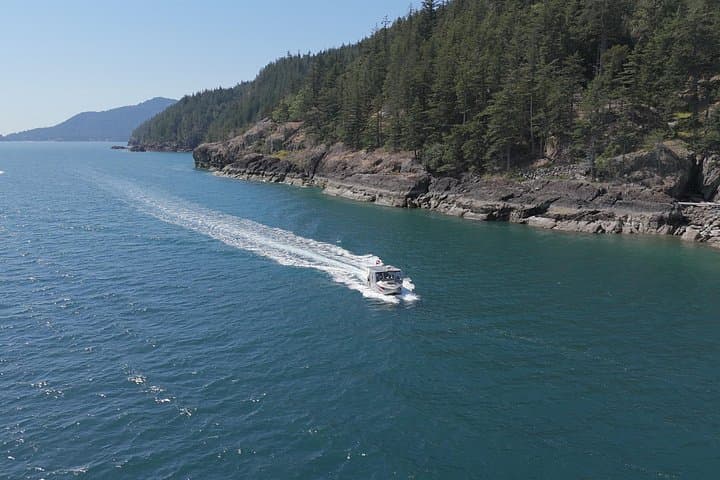 Howe Sound Wildlife Boat Tour Vancouver — Seals, Whales & Scenic Cruise