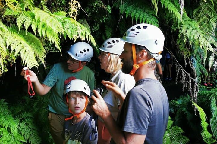 Pico Island Highlights: Private Full-Day Tour with Optional Wine Tasting