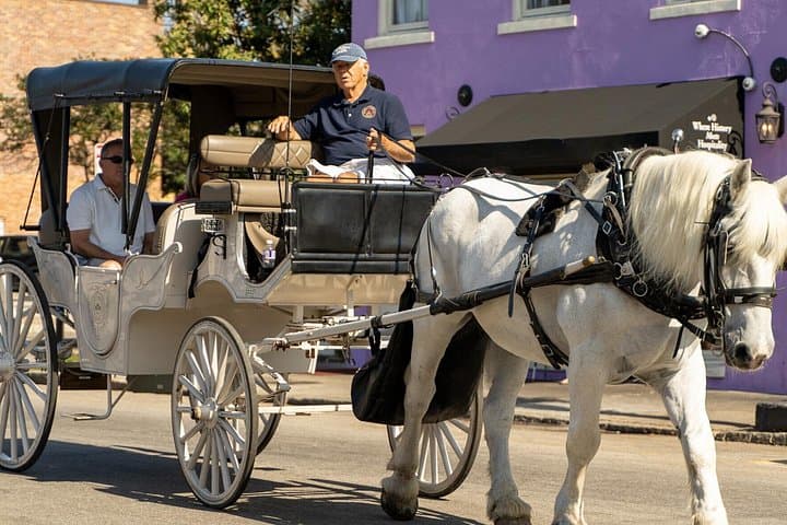 Private Evening Carriage Tour Charleston — Palmetto Carriage Historic Ride photo 2