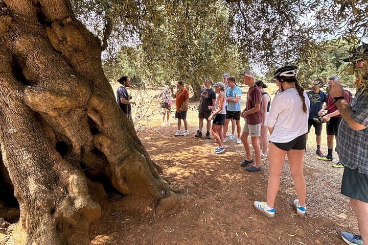 Coastal E‑Bike Ride from Monopoli: Sandwiches, Wine and Fruit-Picking in Puglia photo 4