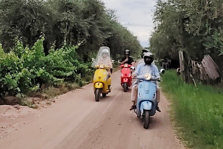 Vespa Tour of Mendoza: Winery & Olive Grove Lunch in Chacras de Coria photo 4