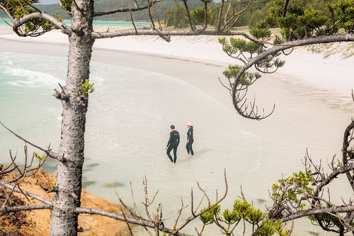 Matador Whitsundays: Two-Day Sailing Adventure to Whitehaven & Great Barrier Reef photo 6