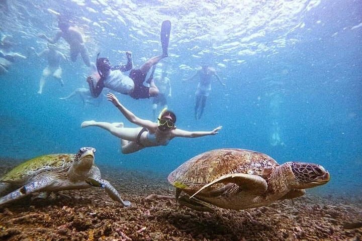 Samui to Koh Tao & Nangyuan: One-Day Snorkel Speedboat Adventure photo 2