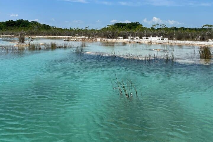 Bacalar Rapids & Cenote Azul Day Tour from Cancun: Blue Lagoon, Fort San Felipe photo 4