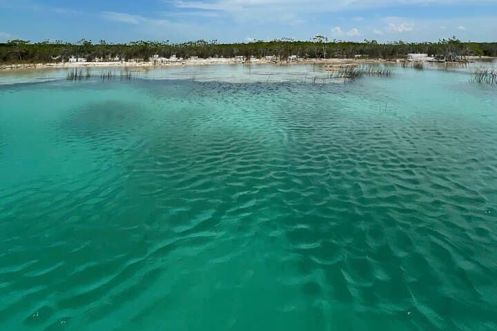 Bacalar Rapids & Cenote Azul Day Tour from Cancun: Blue Lagoon, Fort San Felipe photo 5