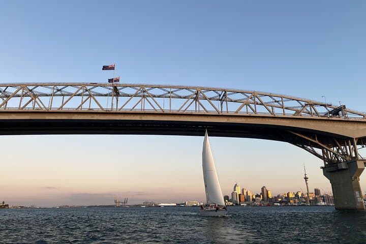 Auckland Harbour Dinner Cruise: 3-Course Sail & City Sights photo 3