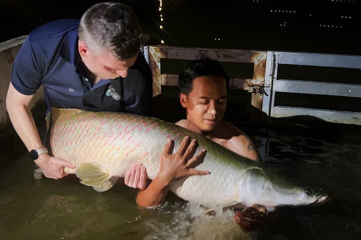 Giant Monster Fishing Tour — Full-Day Freshwater Adventure near Ho Chi Minh City