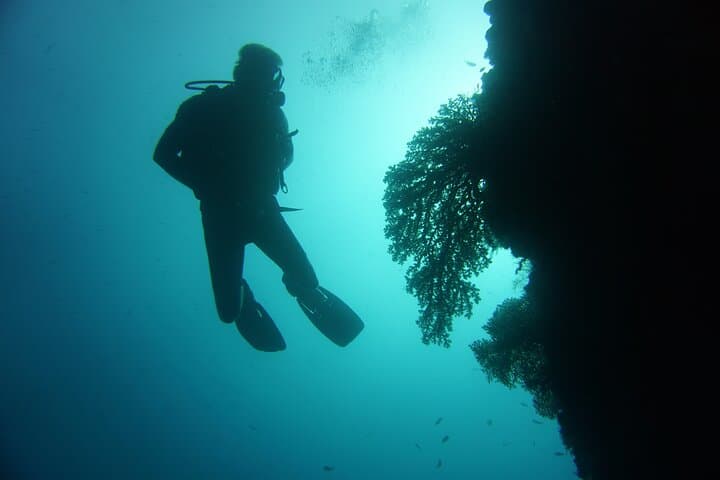 SSI Advanced Adventurer: 2-Day Diving Course at Tulamben, Bali photo 5