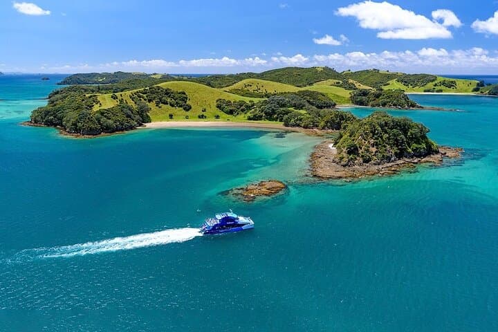 Hole in the Rock Dolphin Cruise from Auckland — Bay of Islands Day Trip