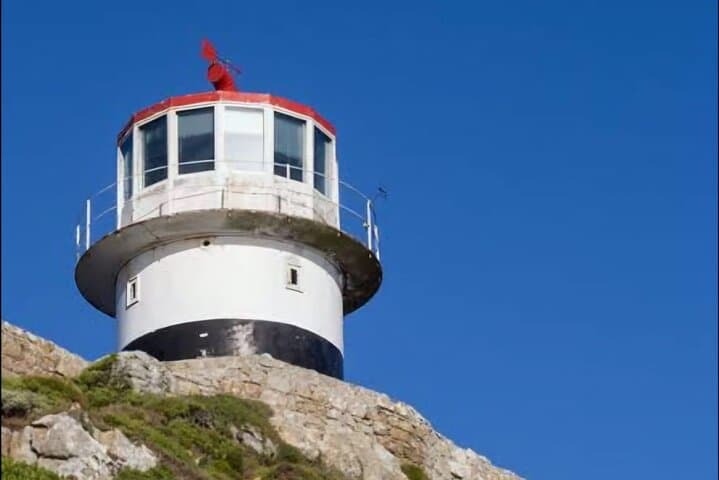 Cape Point and Boulders Penguin Tour — Half-Day from Cape Town photo 5