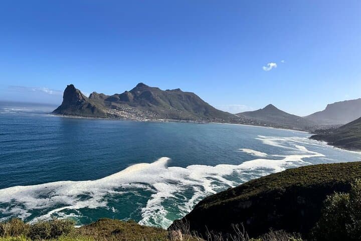 Cape Point and Boulders Penguin Tour — Half-Day from Cape Town photo 6