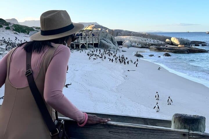 Cape Point and Boulders Penguin Tour — Half-Day from Cape Town photo 3