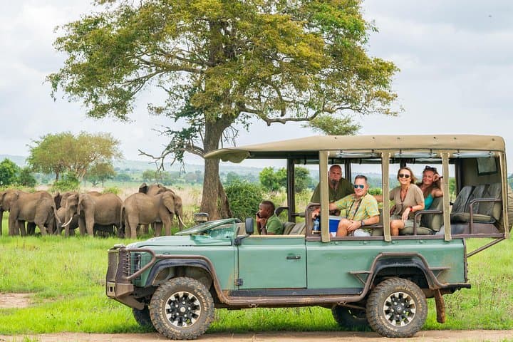 Mikumi Luxury Day Safari with Photographer from Zanzibar photo 1