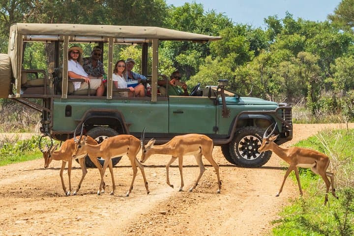 Mikumi Luxury Day Safari with Photographer from Zanzibar photo 2