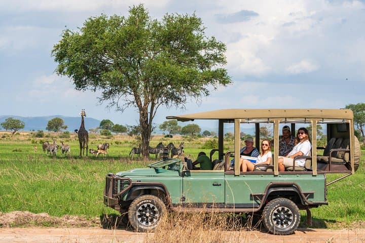 Mikumi Luxury Day Safari with Photographer from Zanzibar photo 3