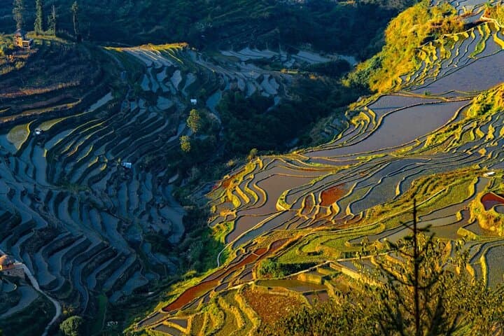 7-Day Yunnan Old Towns & Tea-Horse Road Cultural Tour photo 2