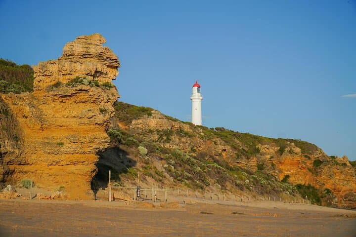 Great Ocean Road Discovery Tour: Twelve Apostles, Loch Ard Gorge & London Bridge photo 4