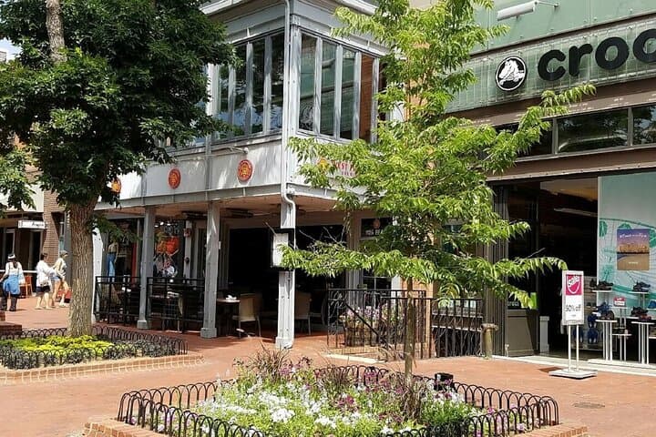 Exploring Colorado’s Iconic Mountain Towns: A Small Group Day Tour from Denver photo 3