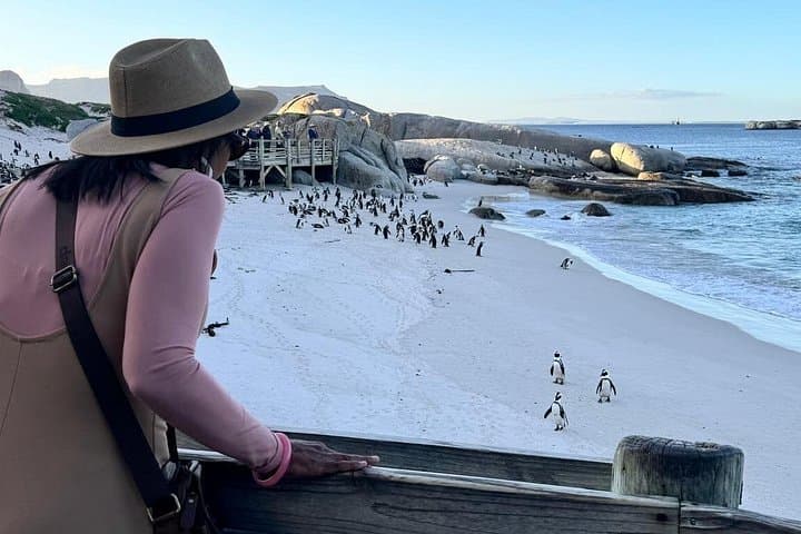 Half-Day Penguins & Cape Point Private Tour — Boulders Beach to Cape of Good Hope photo 3