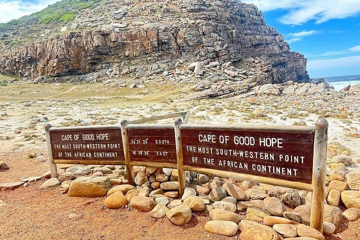 Half-Day Penguins & Cape Point Private Tour — Boulders Beach to Cape of Good Hope photo 4
