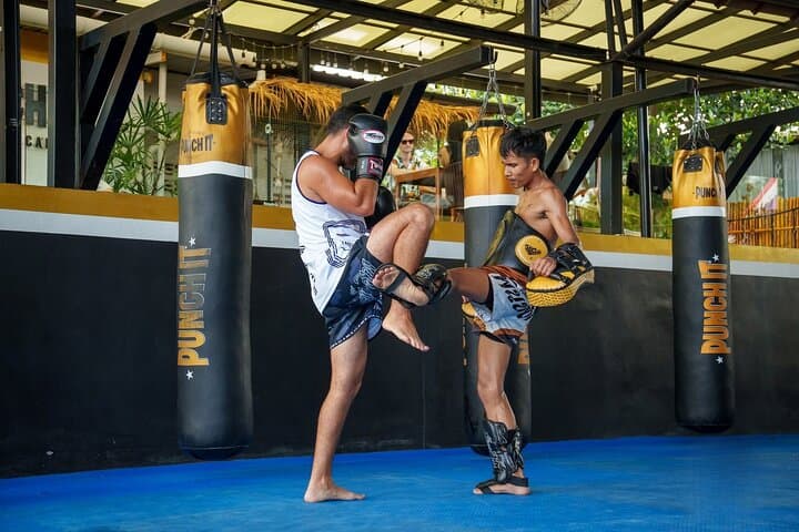 Beginner Muay Thai Training in Koh Samui: Pro Fighters Class Near Lamai Beach photo 4
