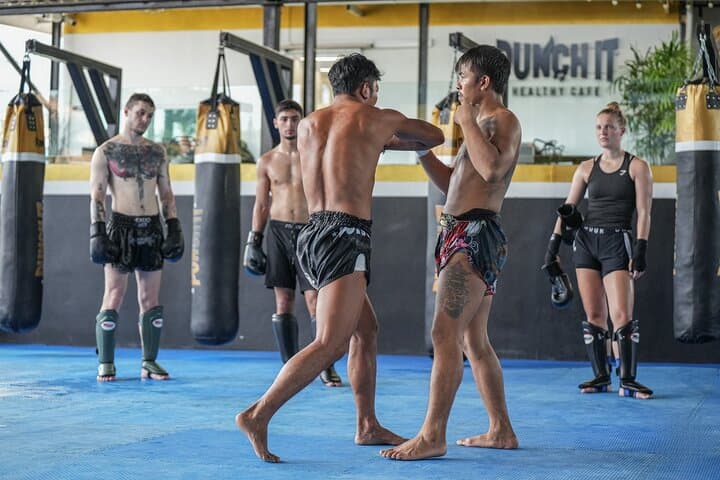 Beginner Muay Thai Training in Koh Samui: Pro Fighters Class Near Lamai Beach photo 5