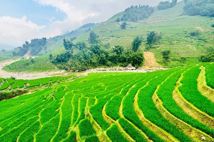Full-Day Sapa Trek: Lao Chai & Ta Van Muong Hoa Valley Hike photo 6