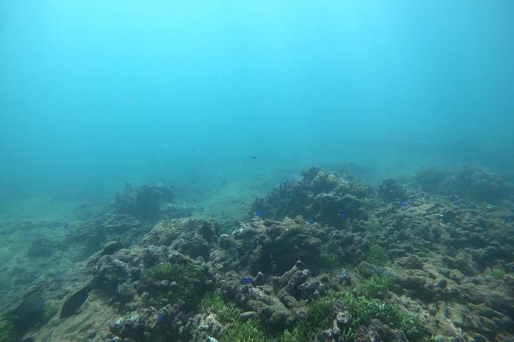 Snorkeling Unawatuna: Shallow Coral Reefs, Guided Lessons & Boat Ride photo 5