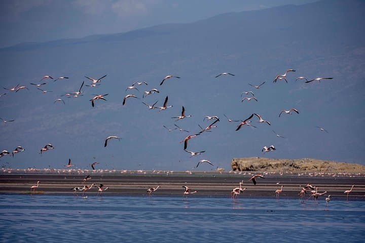 5-Day Budget Camping Safari in Serengeti, Ngorongoro & Tarangire photo 2