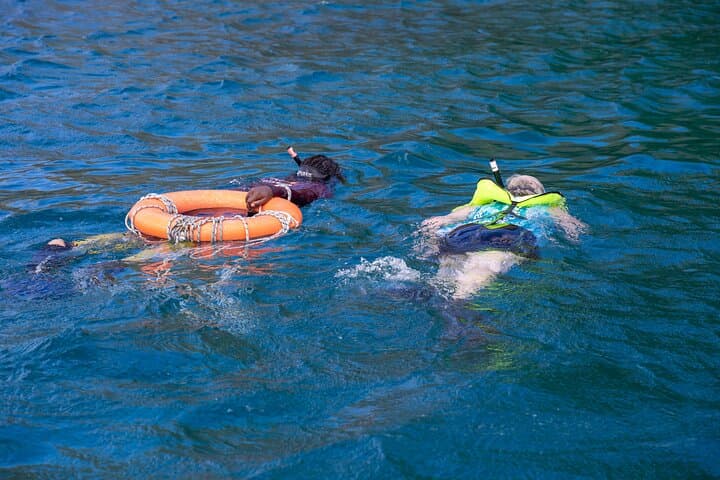 Pigeon Island Snorkel Adventure: Shore-Based Reefs of St. Lucia photo 2