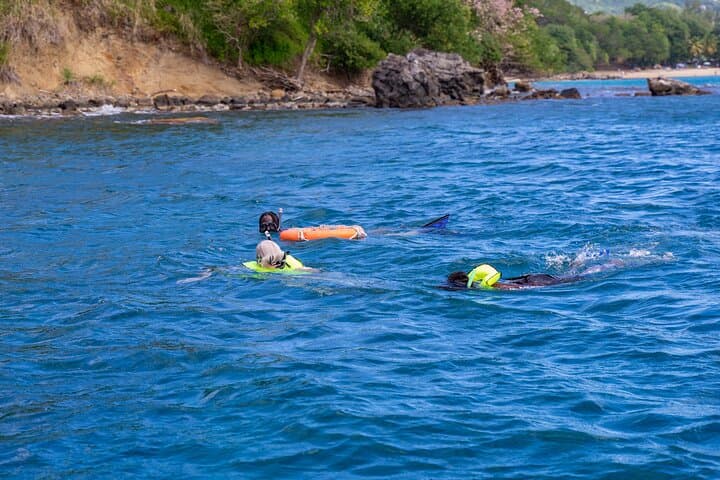 Pigeon Island Snorkel Adventure: Shore-Based Reefs of St. Lucia photo 5