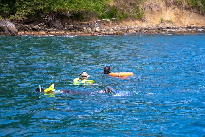 Pigeon Island Snorkel Adventure: Shore-Based Reefs of St. Lucia photo 6