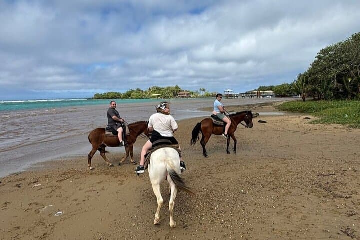 Roatán West Bay: Zipline, Horseback Ride & Snorkel Day Trip photo 6