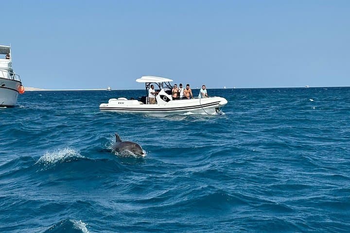 Private Speedboat to Abu Monkar: Snorkel, Swim & Watch Dolphins from Hurghada photo 1
