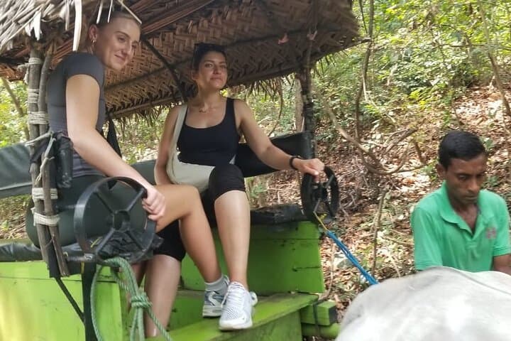 7-Day Private Sri Lanka Tour: Sigiriya, Kandy, Tea Country & Yala Safari photo 4