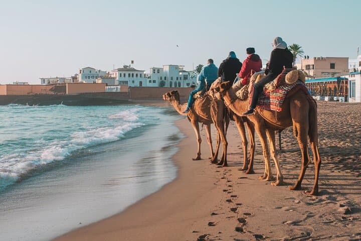 Essaouira Beach Camel Rides — Atlantic Coast, Dunes & Forest Trails photo 4
