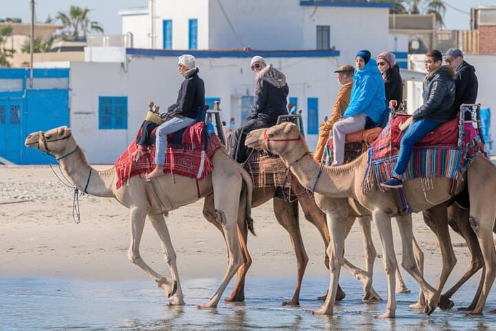 Essaouira Beach Camel Rides — Atlantic Coast, Dunes & Forest Trails photo 5