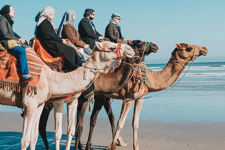 Essaouira Beach Camel Rides — Atlantic Coast, Dunes & Forest Trails