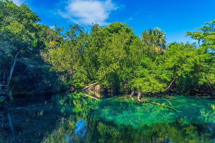 Indigenous Eyes Cenotes Eco Tour — Punta Cana Conservation & Swimming Adventure photo 2