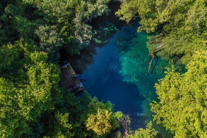Indigenous Eyes Cenotes Eco Tour — Punta Cana Conservation & Swimming Adventure photo 5