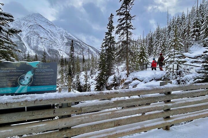 Banff, Yoho & Kootenay Day Trip: Emerald Lake, Natural Bridge & Lake Louise photo 1