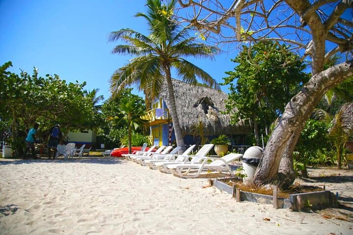 Rosario Islands Private Day Trip & Oceanarium from Cartagena photo 5