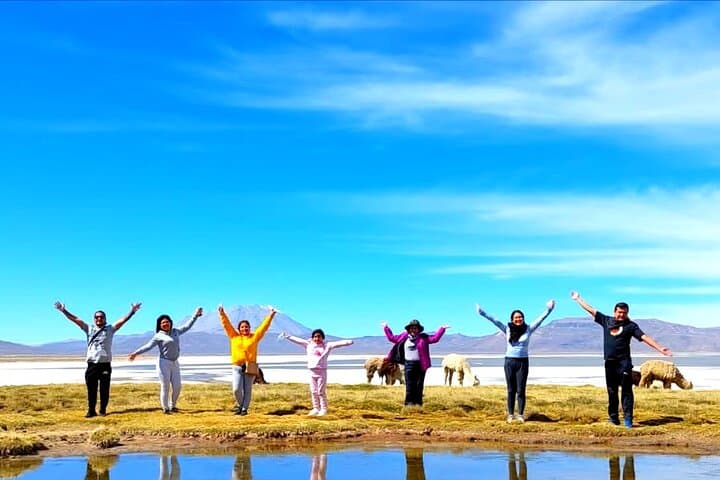 Salinas Lagoon Day Tour from Arequipa: Salt Flats, Flamingos & Thermal Baths photo 1