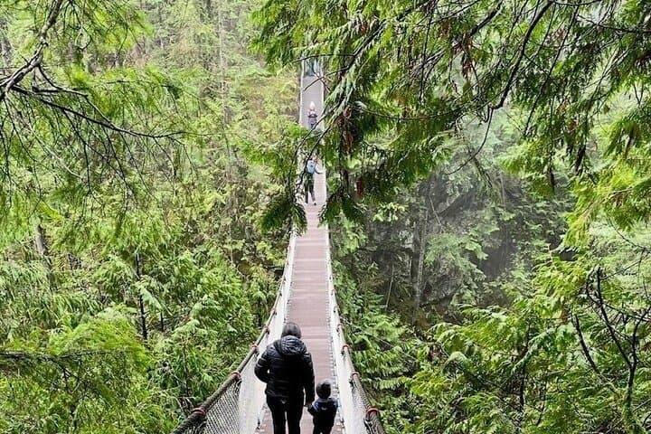 Private Tour of Lynn Canyon Suspension Bridge: Lynn Canyon Park Hike & Waterfalls