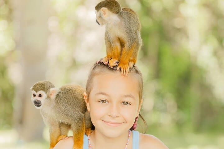 Private Monkey House VIP Experience in Punta Cana — 4 Monkey Species & Professional Photo Shoot photo 3